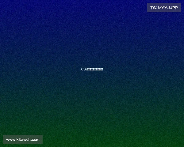 CVG战队开启全新荣耀征程